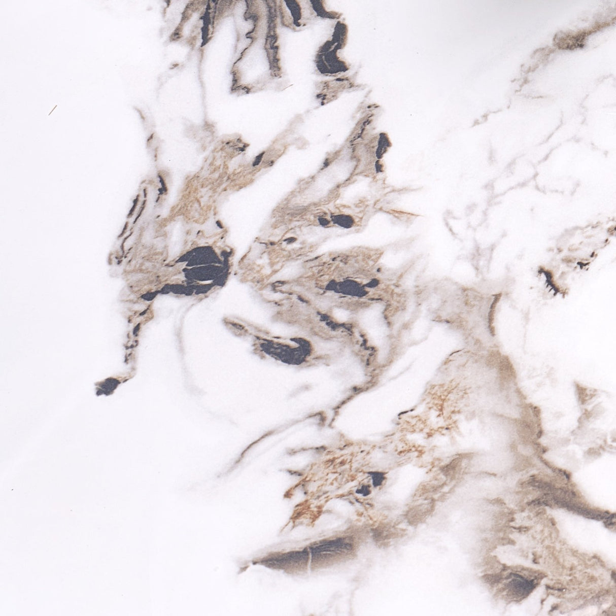 Round Dining Table Marble Dawn