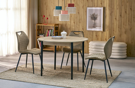 Extendable Dining Table HA1704