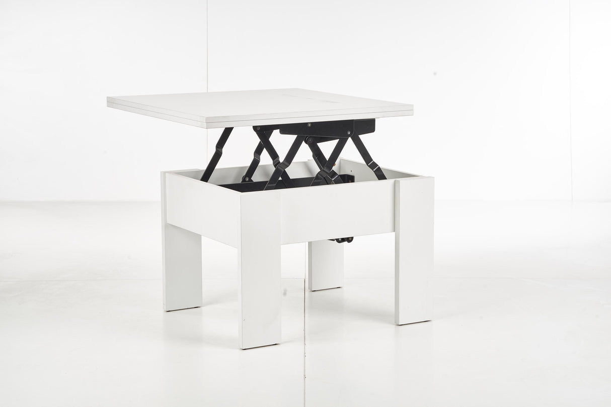 Coffee Table HA675