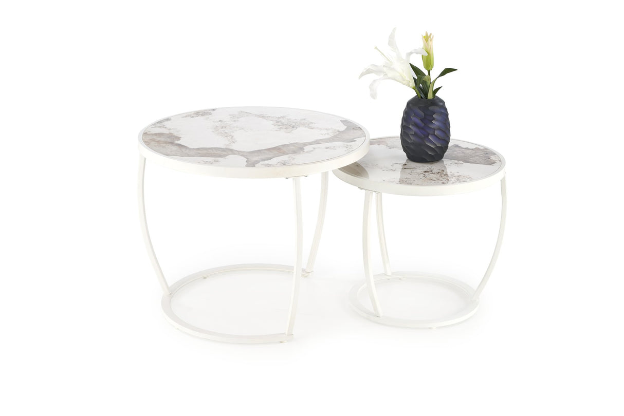 Set of Two Coffee Tables HA9442