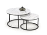 Set of Two Coffee Tables HA9450