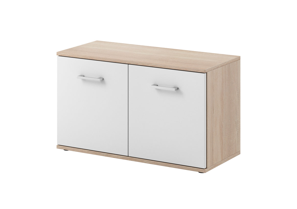 Cabinet WP1029