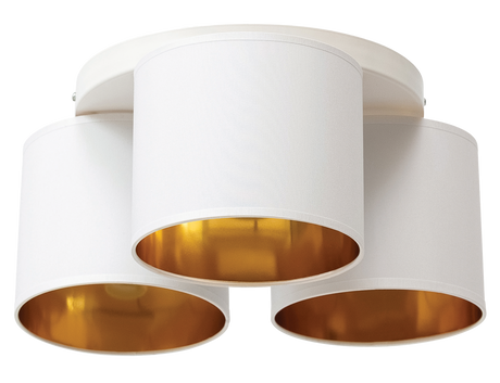 Ceiling Light EL1073