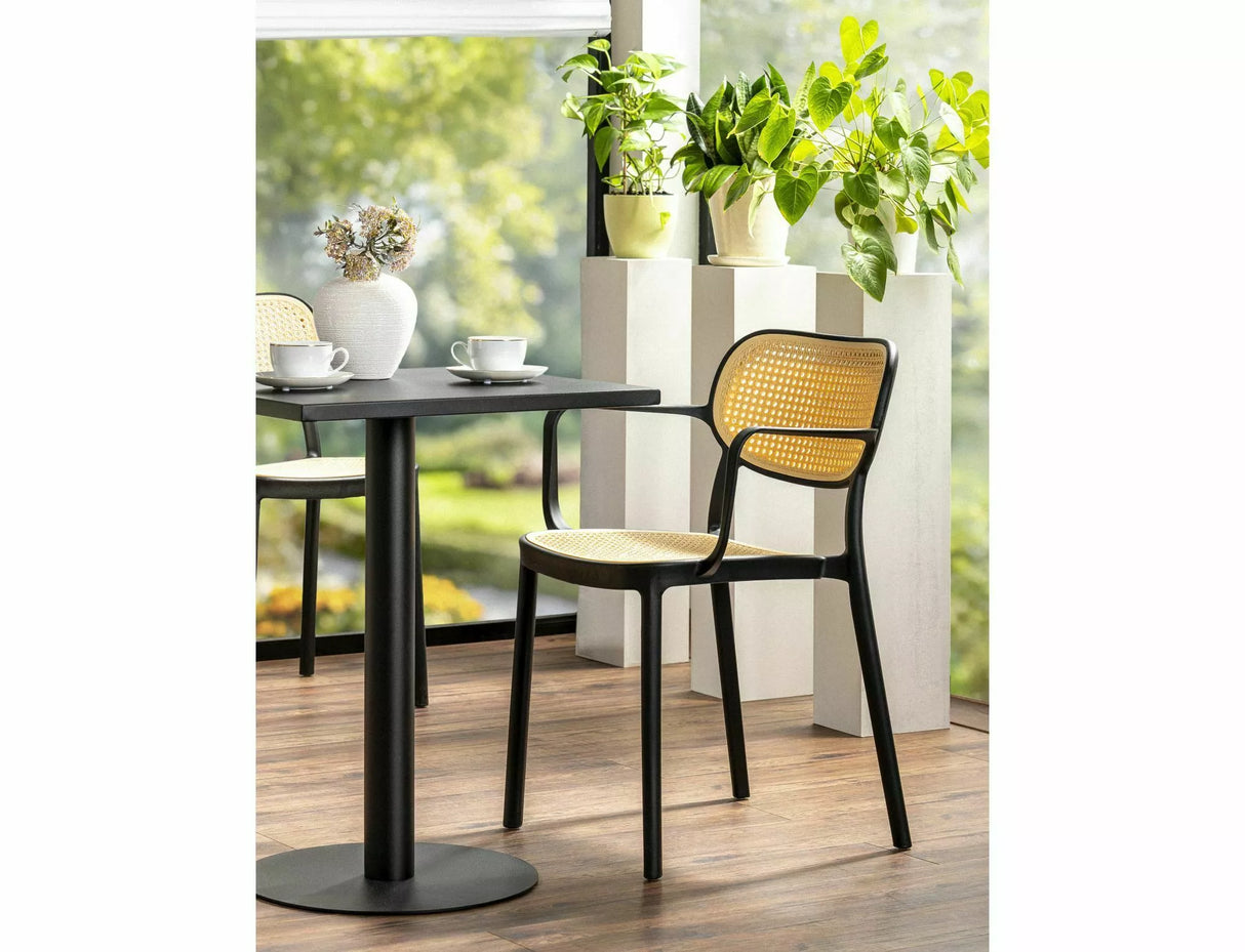 Dining Chair SG2831