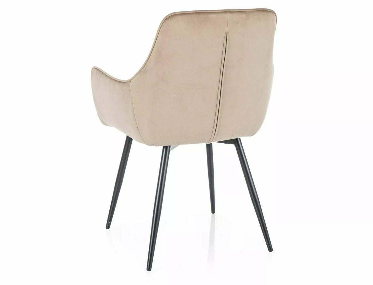 Dining Chair SG2862