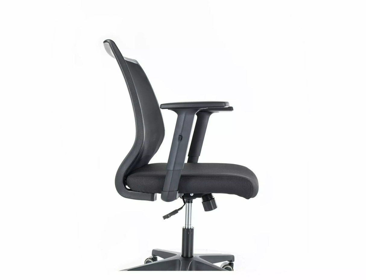 Armchair SG2769