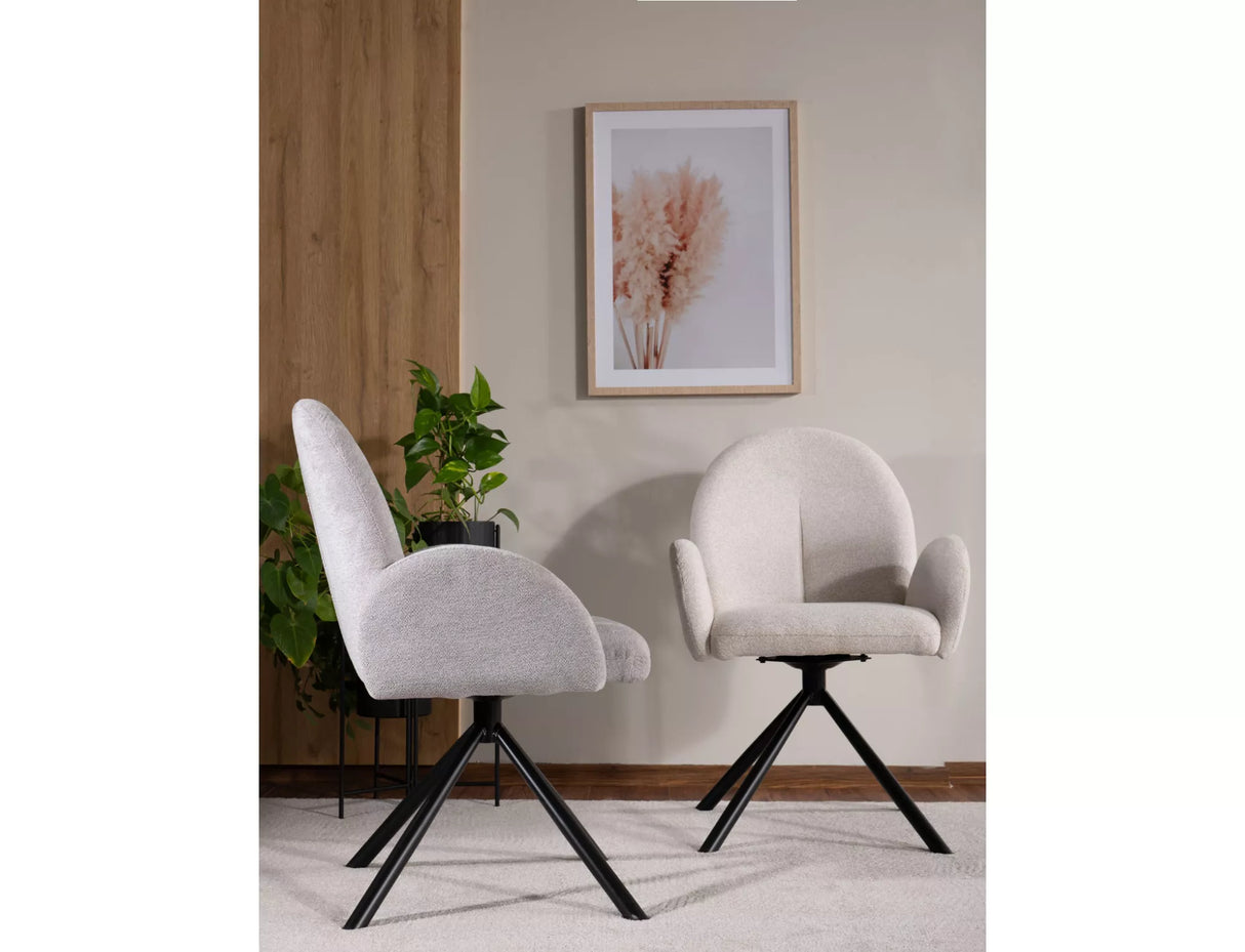 Dining Chair SG2921