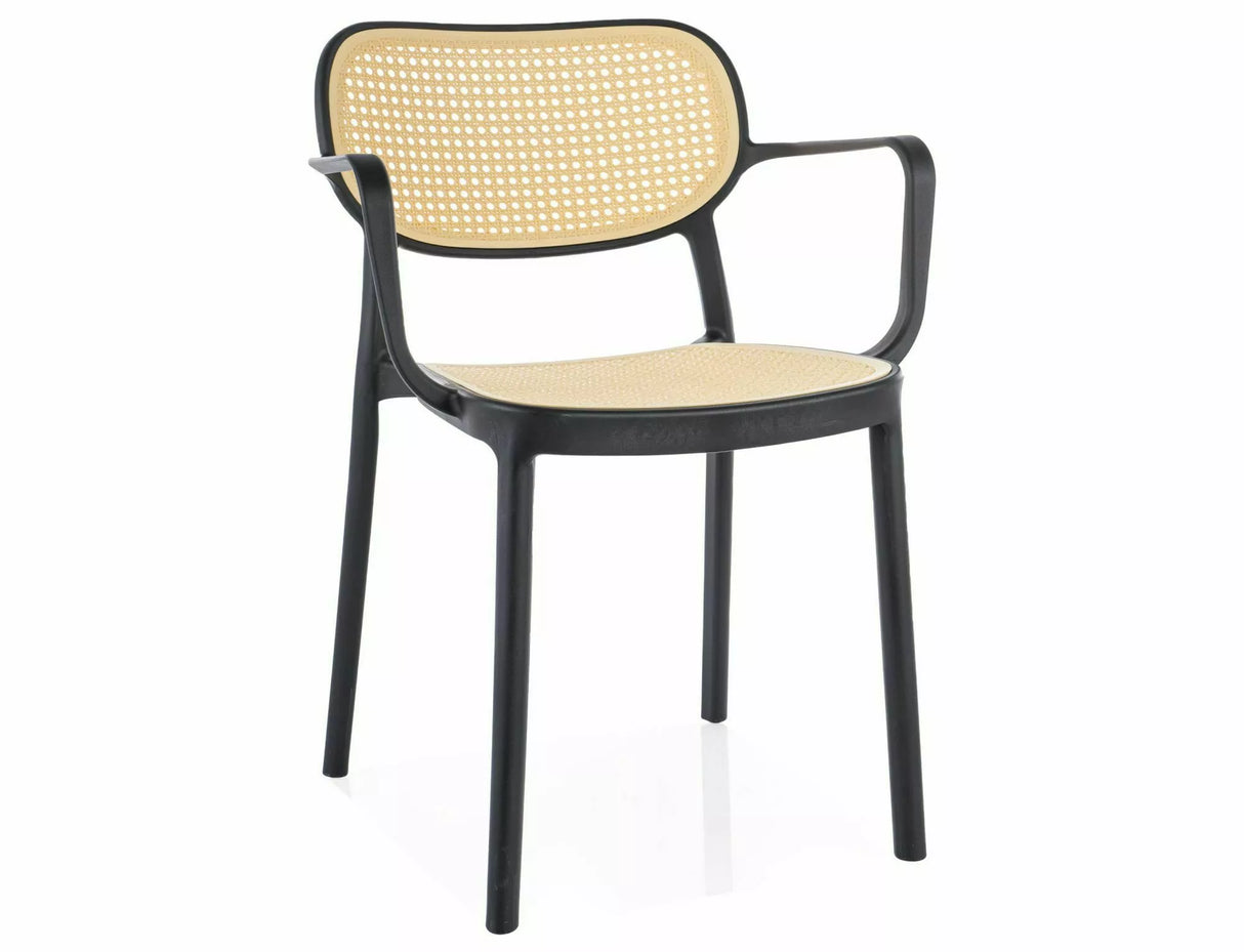 Dining Chair SG2831