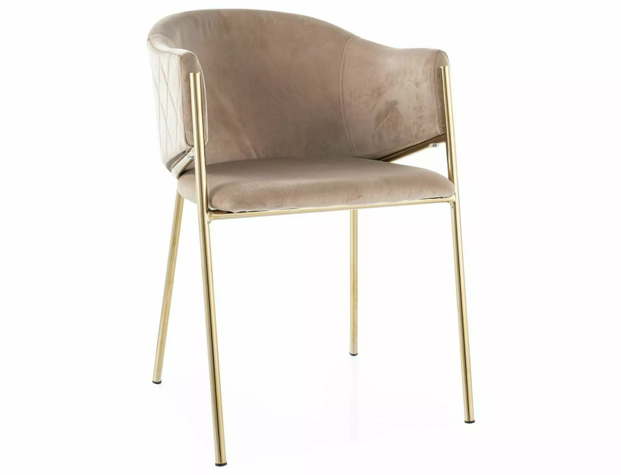 Dining Chair SG2838