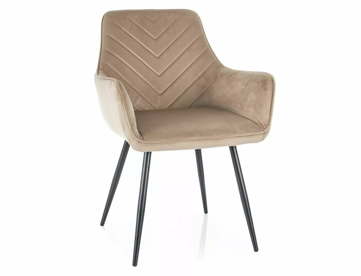 Dining Chair SG2862