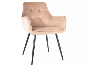 Dining Chair SG2898