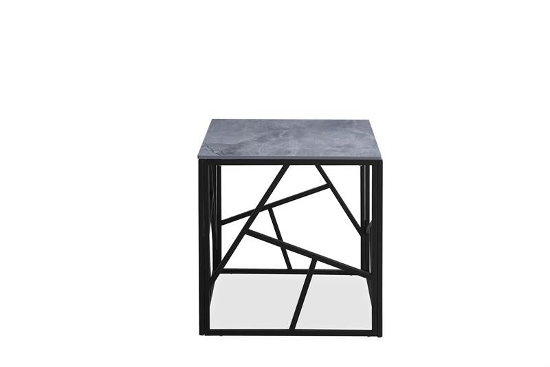 Coffee Table HA6301