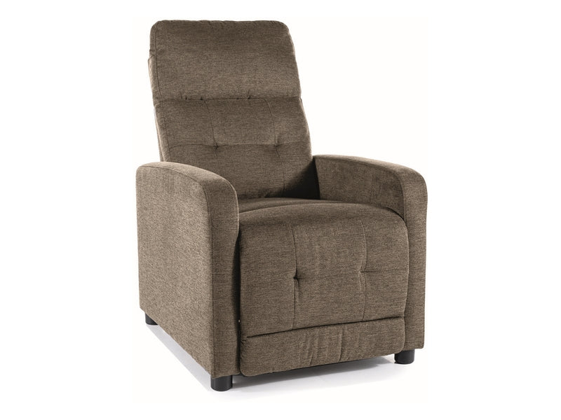 Lounge Chair SG0877