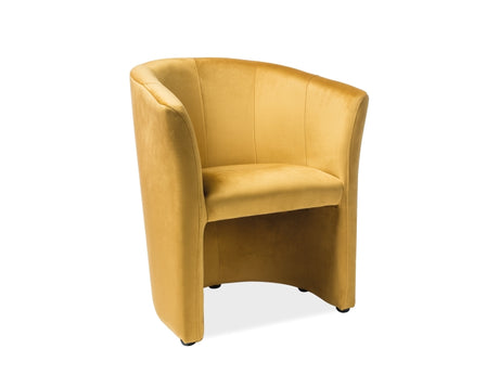 Lounge Chair SG0855