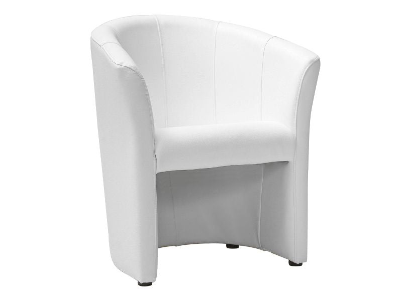 Lounge Chair SG0979