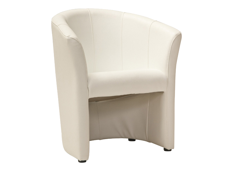 Lounge Chair SG1077