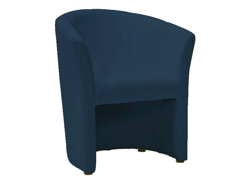 Lounge Chair SG0984