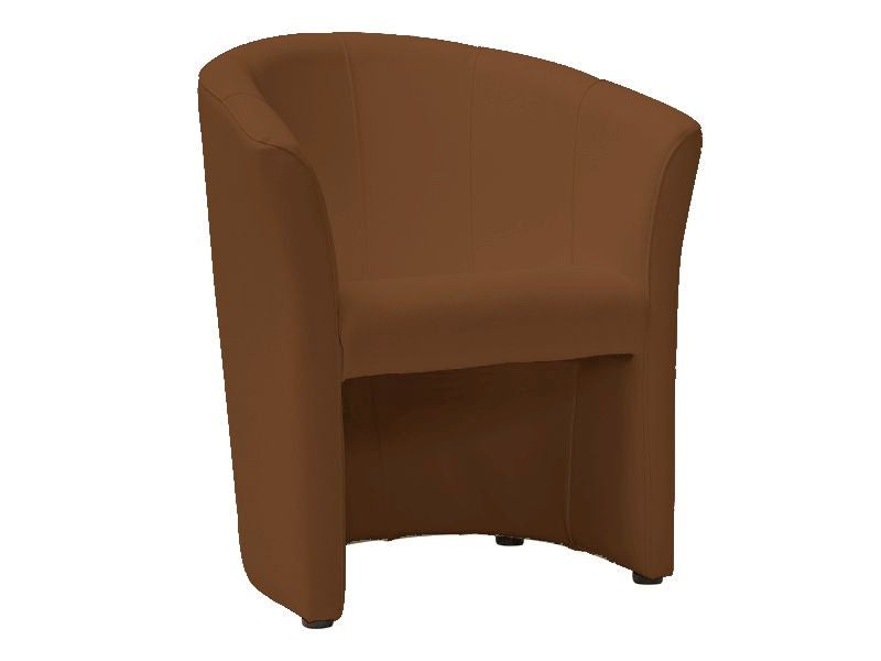 Lounge Chair SG1083